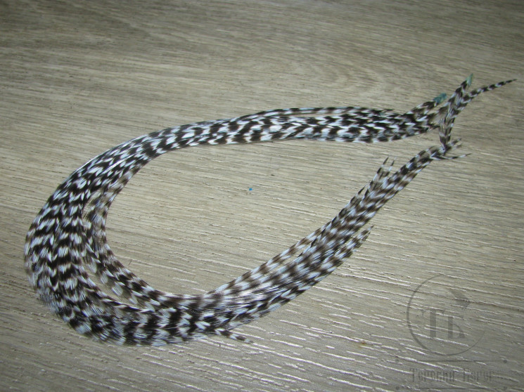 Перо Dry Fly (для сухих мух) 10 шт Grizzly Lt. Blue Dun крючки № 8 - 10