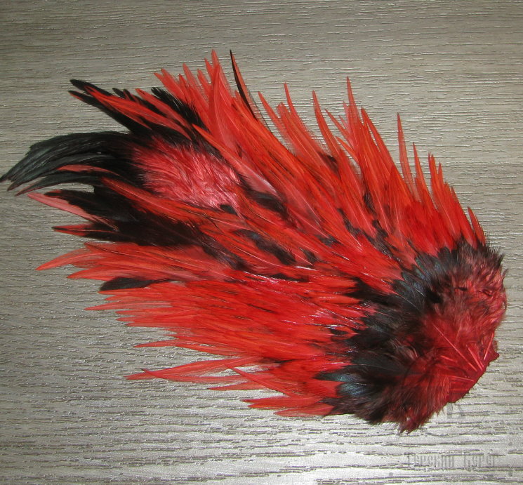 Седло петуха Indian Saddle Fire Orange Barr.