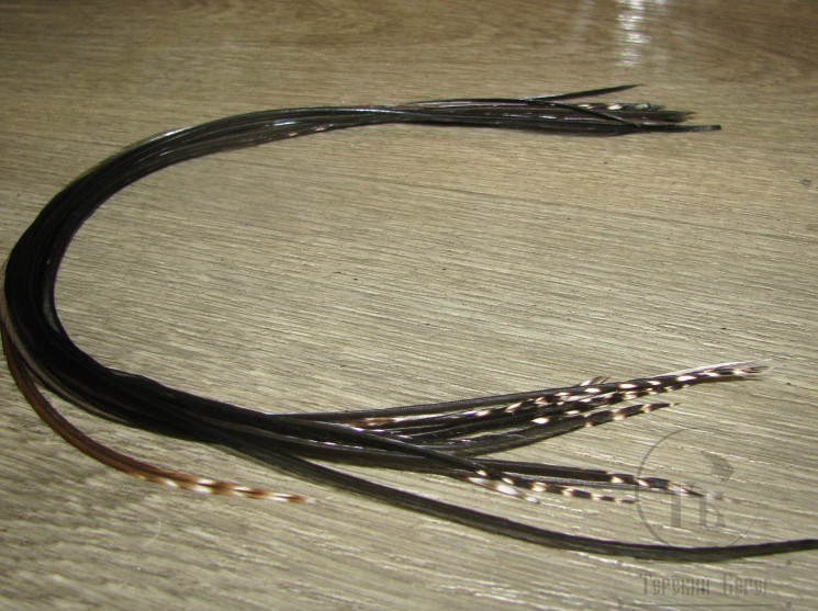 Перо из седла петуха отборное ( 1 шт ) Grizzly Dun Variant ( Dk Dun / Gr Dun Tips ) 25 - 30 cм.