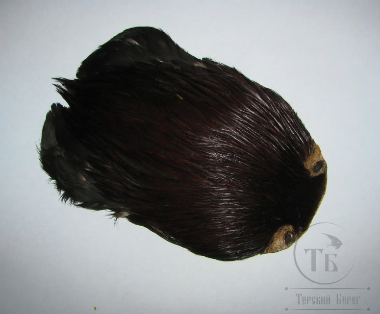 Скальп петуха Indian Cape Brown