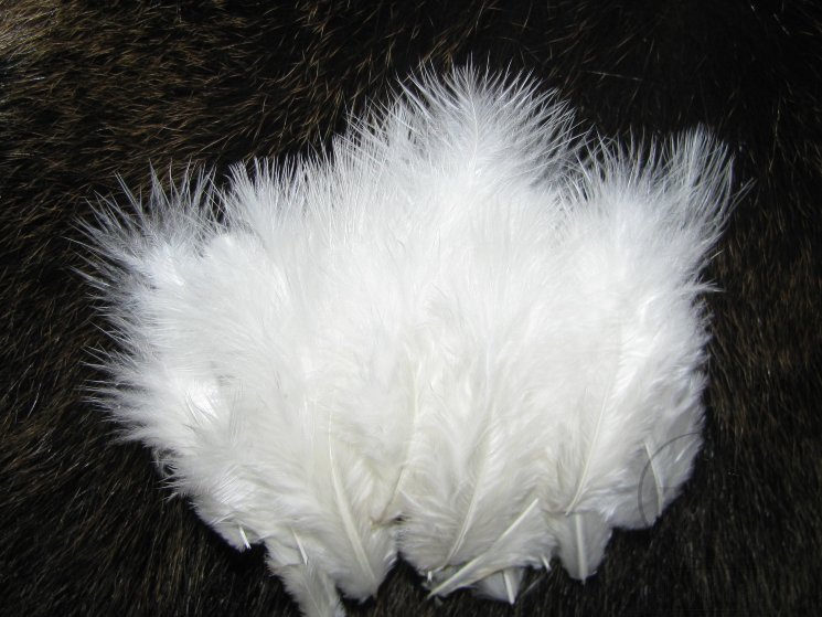 Chikabou Natural White Терский берег 24 пера