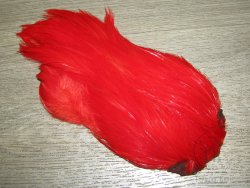 Скальп петуха indian Cape Red / Scarlet