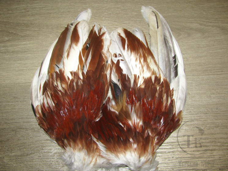 Крылья петуха Cock Wings Lt. Fiery Variant ( 1 пара )